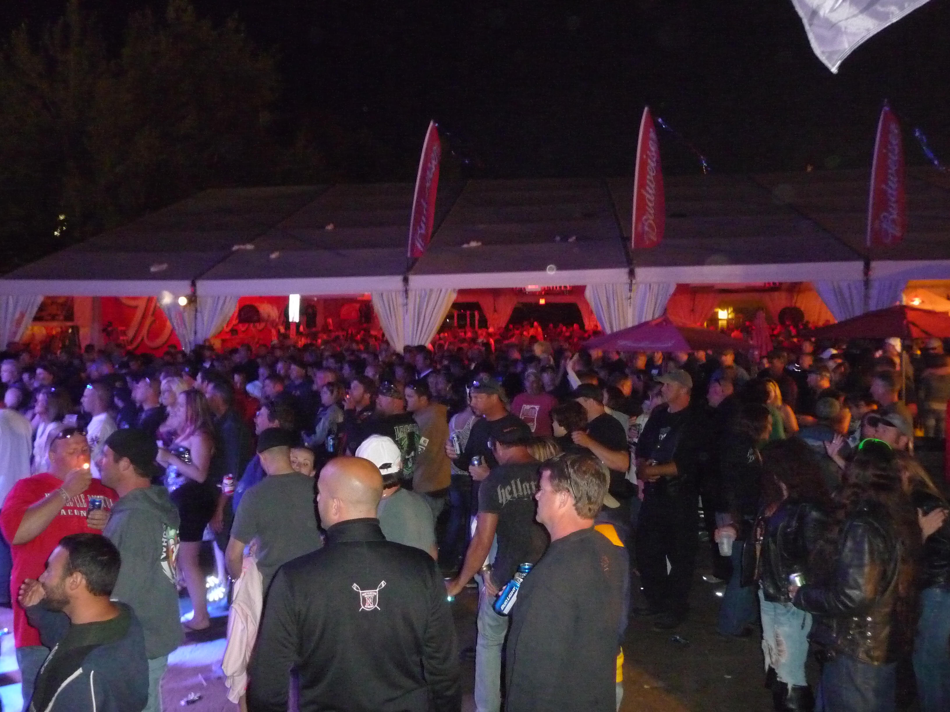 The Crowd